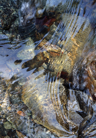 Aerial view of a flowing river