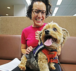 Student pets a de-stress dog