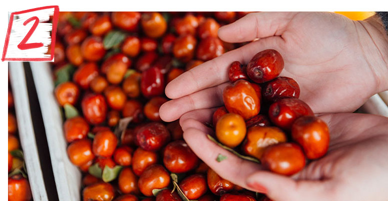 Person holding pile of jujube's in their hands