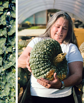 Close up of dinosaur kale and Annabelle Lenderink