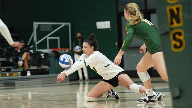 Read event detail:  USF Women&#039;s Volleyball vs UC Davis (Exh.)