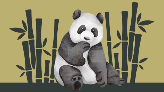 Read event details: Panda Diplomacy–Its Past, Present, and Potential