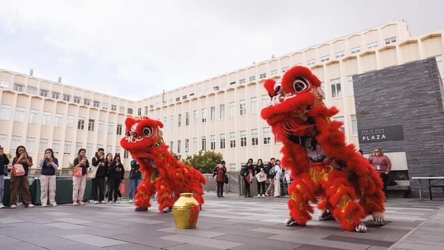 Read the story: Lion Dance Brings in the New Year