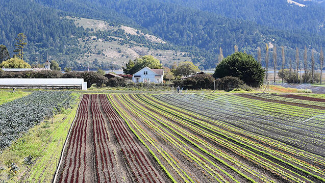 Read the story: Star Route Farms Connects USF Back to Nature