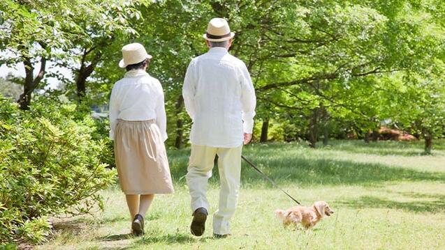 Two elderly people walking with a dog on the grass