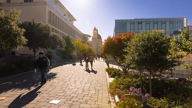 Read event details: Virtual Information Session