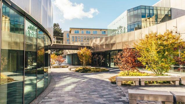 Read event details: Virtual International Information Session
