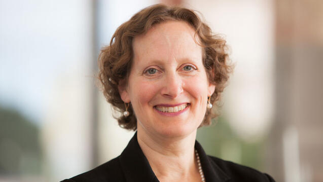 Read the story: Professor Alice Kaswan Appointed Associate Dean for Faculty Scholarship