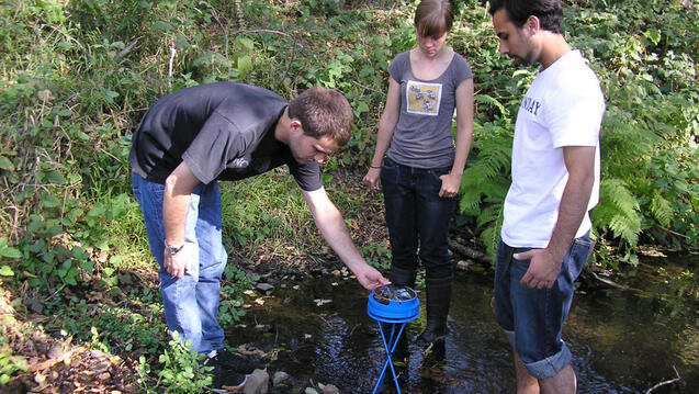 Read the story: USF Students Restore Endangered Species Habitat