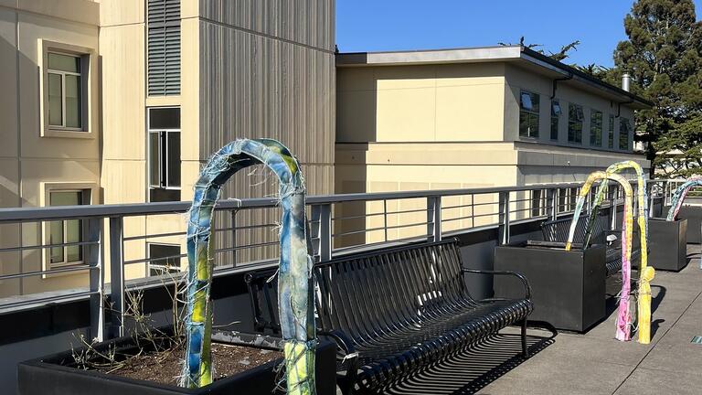 Mercy Hawkins sculptures displayed on the Kalmanovitz Hall Rooftop Sculpture Terrace.