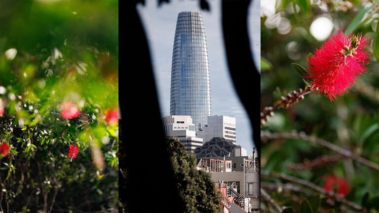 Salesforce Tower