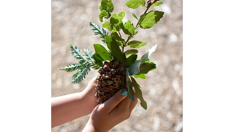 A Ponderosa Pine cone etrog and lulav made of local species native to Northern California: coast live oak, California bay leaves, Coastal redwood