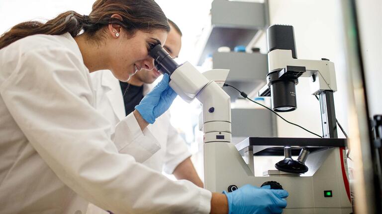Student working in a lab