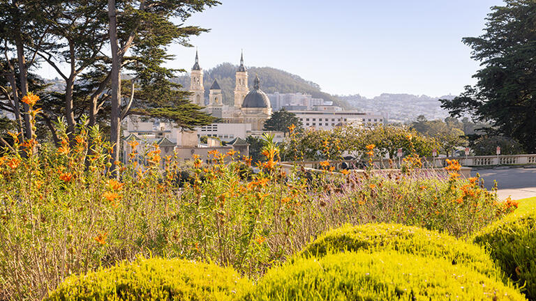 Read the story: Multi-Institution Program at the University of San Francisco Empowers Catholics to Be Active Leaders in the Church
