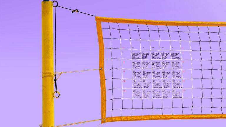 Volleyball net with calendar