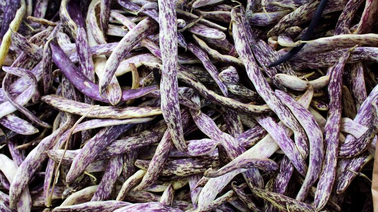 Purple vegetable pile