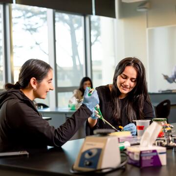 Two USF students working in a lab