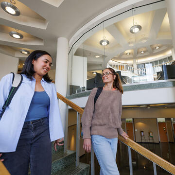 USF law students chatting