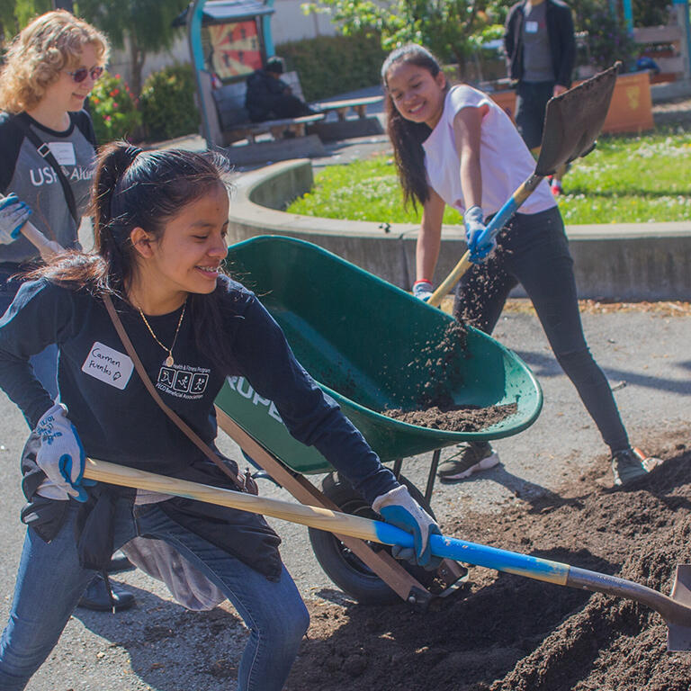 students use shovels to dig dirt at a park