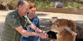 USF alum feeding an animal