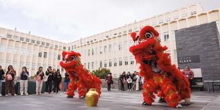 Two Chinese lion dancers