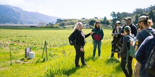 People standing in field at Star Route Farms talking