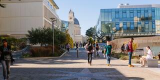 USF campus near Lo Schiavo Science Center