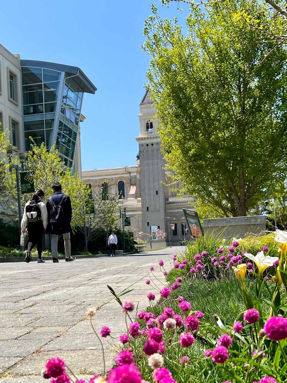 Walkway on main campus with flowers in bloom.