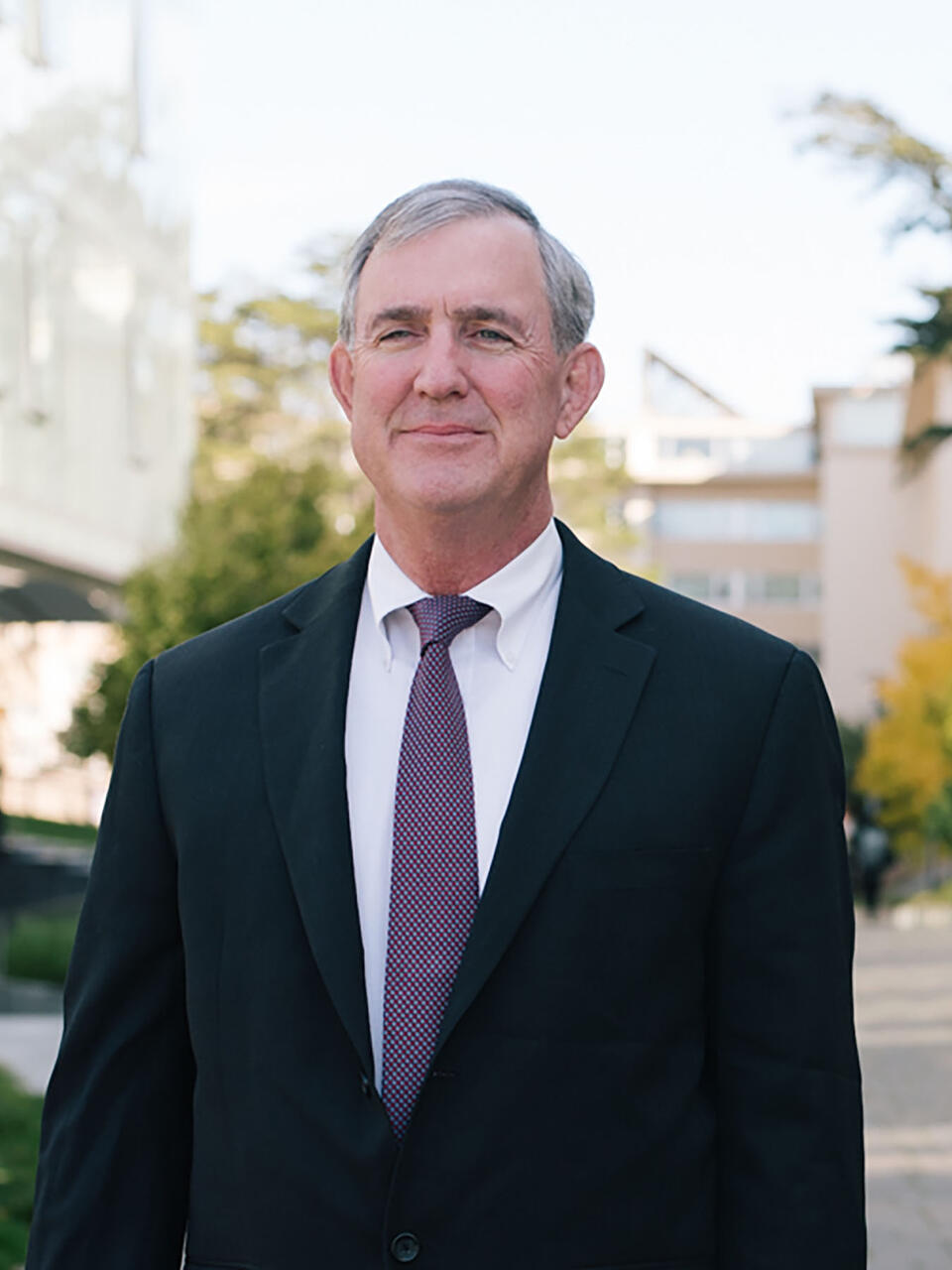 Richard Callahan, Professor